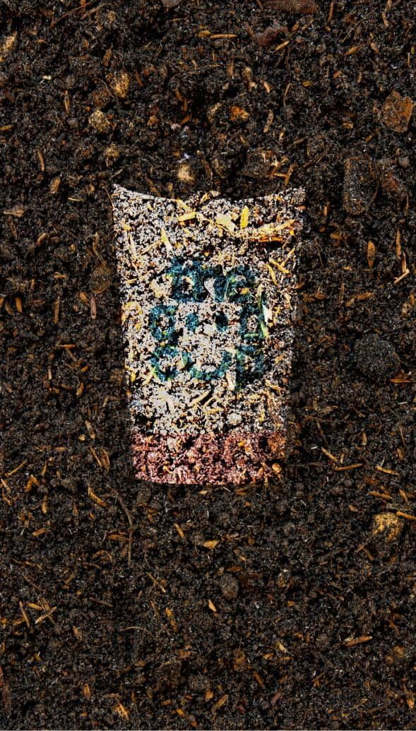 THE GOOD CUP - Sustainable Paper Cup